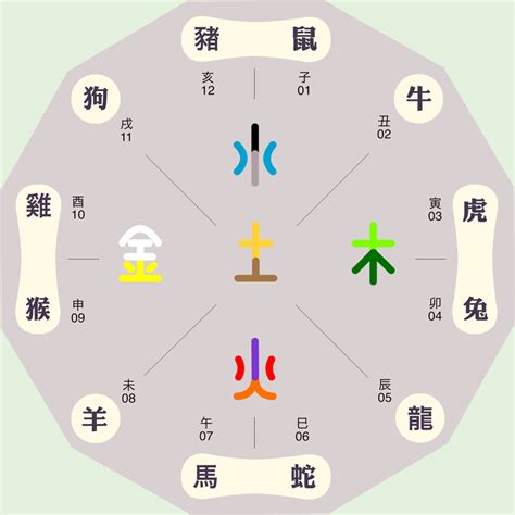 五行 地支|地支